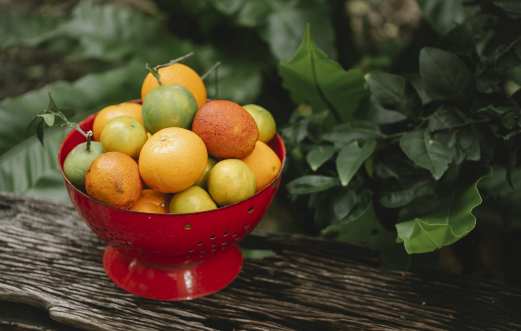 Fresh fruit in bowl on bench