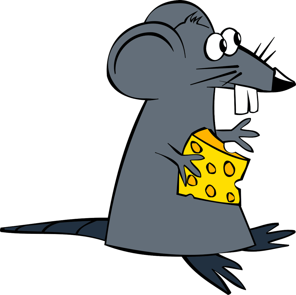 rat, mouse, cheese