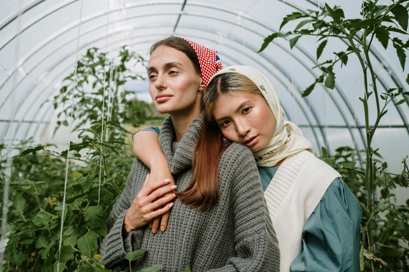 Young Women Standing in a Greenhouse with Growing Tomatoes