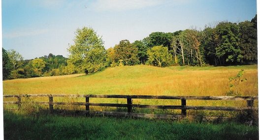 Begraafplaats van Lenape strijders ± 1720
