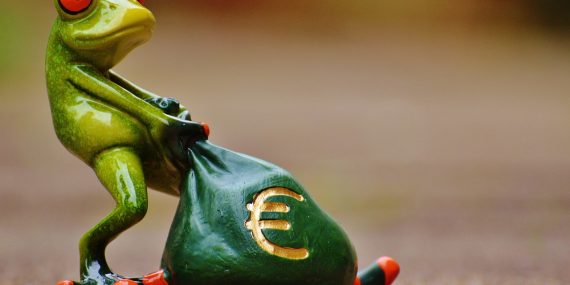 frog, money, euro