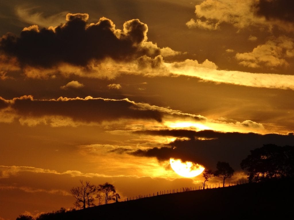 sunset, trees, silhouettes