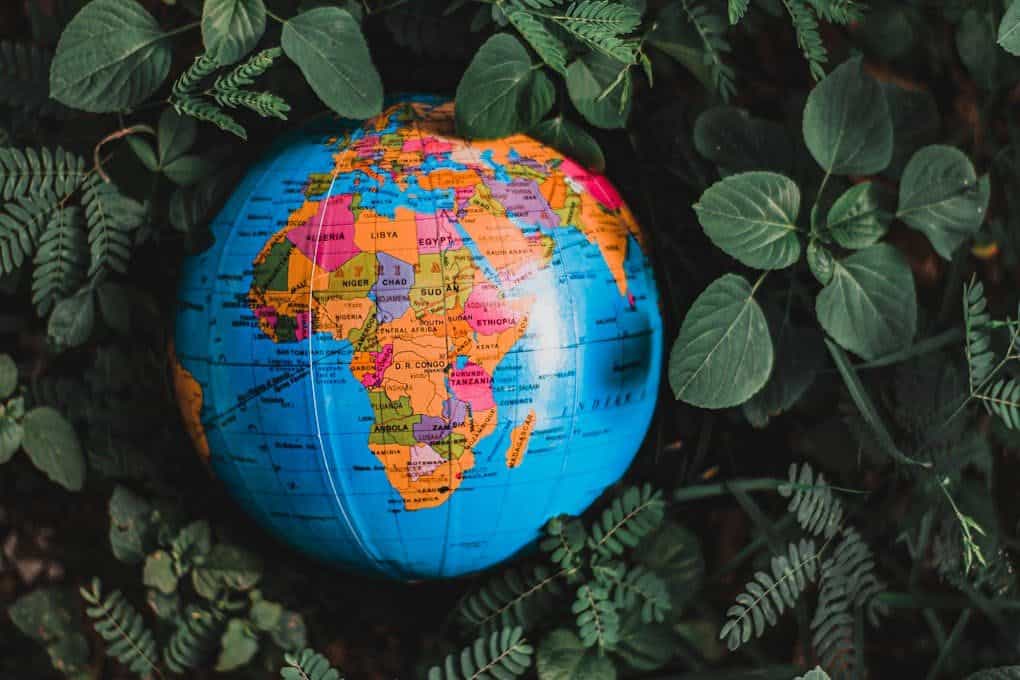 Vibrant globe nestled in lush green leaves, highlighting continents in vivid colors.