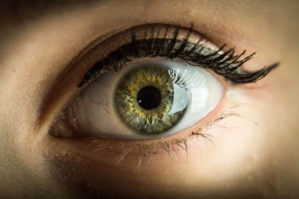 Detailed close-up of a green eye showcasing eyelashes and eyeliner.