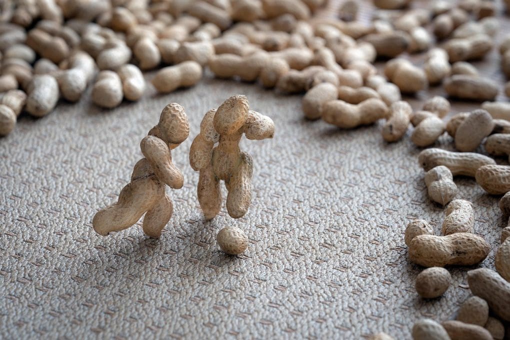 football, world cup, sport, ball, play, mundial, nuts, still life, gray life, gray football, gray sports, gray cup, world cup, world cup, world cup, world cup, world cup