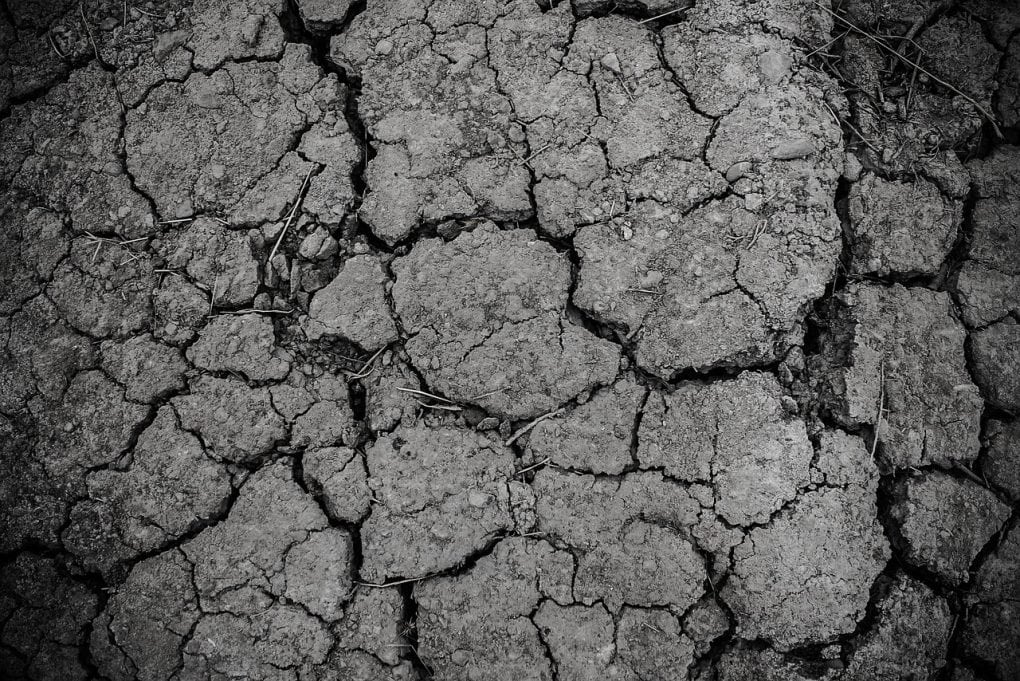 ground, gray, dirt, drought, arid, texture, land, dry, soil, crack, cracked, nature, erosion, dirty, rough, desert, dust, surface, clay, barren, gray texture, gray desert, monochrome, black and white